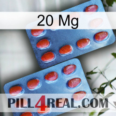 20 Mg 05